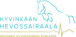 Hyvink&auml;&auml;n Hevossairaala